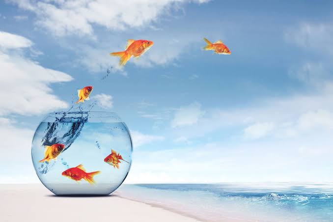 Business Leaders Making Bold Moves in Competitive Industries